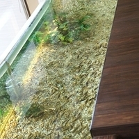 2011.03.26-130.JPG