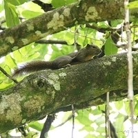 2011.03.26-149.JPG