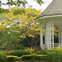 2011.03.26-163.JPG