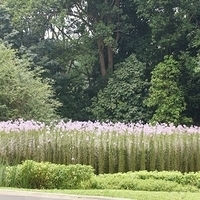 2011.03.26-172.JPG
