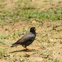 2011.03.26-188.JPG