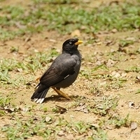 2011.03.26-194.JPG