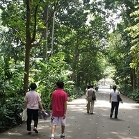 2011.03.26-199.JPG