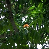 2011.03.26-207.JPG