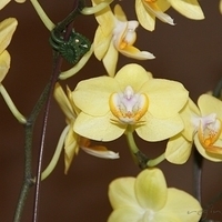 2011.03.27-011.JPG