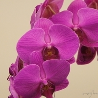 2011.03.27-045.JPG