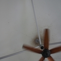 2011.07.31-BBQ-044.JPG