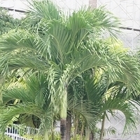 2011.07.31-BBQ-058.JPG