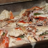 2011.07.30-Alize-006.JPG