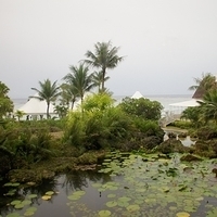 2011.07.29-NIJI-008.JPG