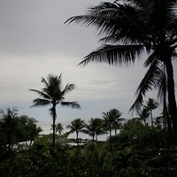 2011.07.29-Hyatt-013.JPG