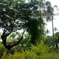 2011.07.30-Hyatt-001.JPG