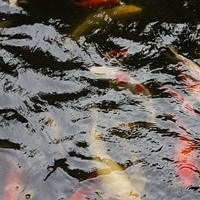 2011.07.30-Hyatt-002.JPG