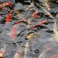 2011.07.30-Hyatt-003.JPG