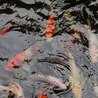 2011.07.30-Hyatt-004.JPG