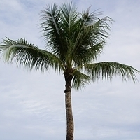 2011.07.30-Hyatt-020.JPG