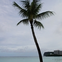 2011.07.30-Hyatt-023.JPG