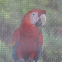 2011.07.30-Hyatt-037.JPG