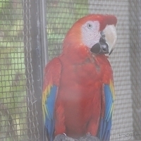 2011.07.30-Hyatt-039.JPG