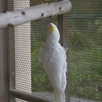 2011.07.30-Hyatt-040.JPG
