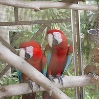 2011.07.30-Hyatt-041.JPG