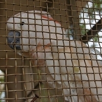 2011.07.30-Hyatt-043.JPG
