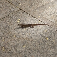 2011.07.30-Hyatt-044.JPG