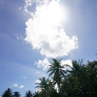 2011.08.01-PIC-017.JPG