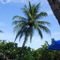 2011.08.01-PIC-027.JPG