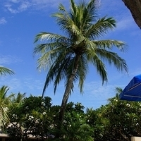 2011.08.01-PIC-028.JPG