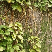 2011.08.01-PIC-094.JPG