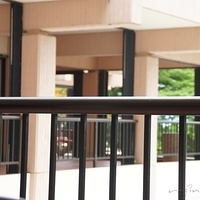 2011.08.01-PIC-101.JPG