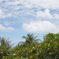 2011.08.01-PIC-102.JPG