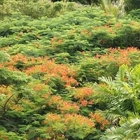 2011.08.01-PIC-105.JPG