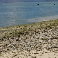 2011.08.01-PIC-214.JPG