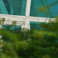 2011.08.01-PIC-217.JPG