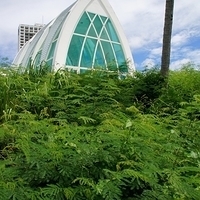 2011.08.01-PIC-219.JPG