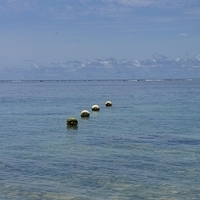 2011.08.01-PIC-222.JPG