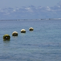 2011.08.01-PIC-223.JPG