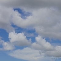2011.08.01-PIC-286.JPG