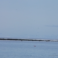 2011.08.01-PIC-299.JPG