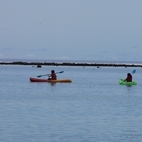 2011.08.01-PIC-303.JPG