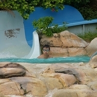 2011.08.01-PIC-464.JPG