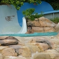 2011.08.01-PIC-465.JPG