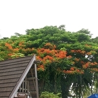 2011.08.01-PIC-541.JPG