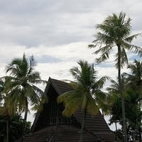 2011.08.01-PIC-543.JPG