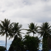 2011.08.01-PIC-546.JPG