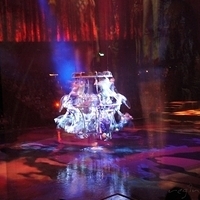 2011.12.19-dancingwater-064.JPG