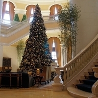2011.12.19-fourseasons-012.JPG