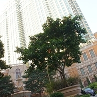 2011.12.19-fourseasons-073.JPG